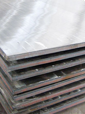 Hot/Cold Plate